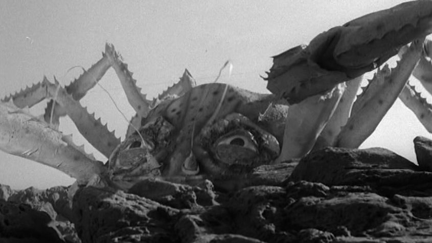 attack of the crab monsters 2.jpg